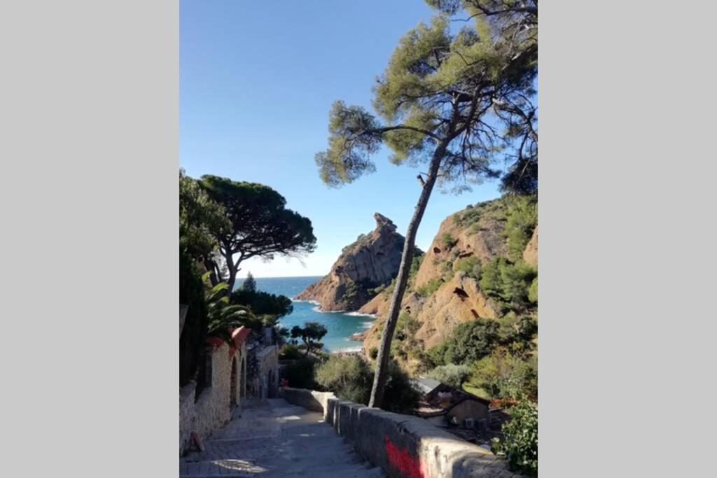 Le Repaire De La Cadiere A 5Mn Des Plages ! Saint-Cyr-sur-Mer Exterior foto