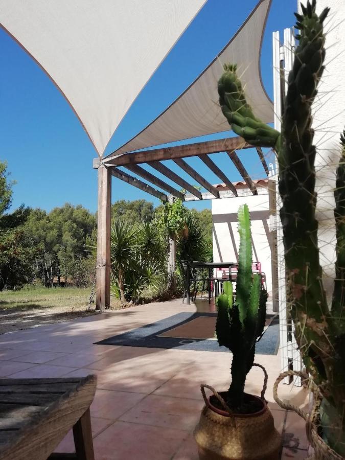 Le Repaire De La Cadiere A 5Mn Des Plages ! Saint-Cyr-sur-Mer Exterior foto